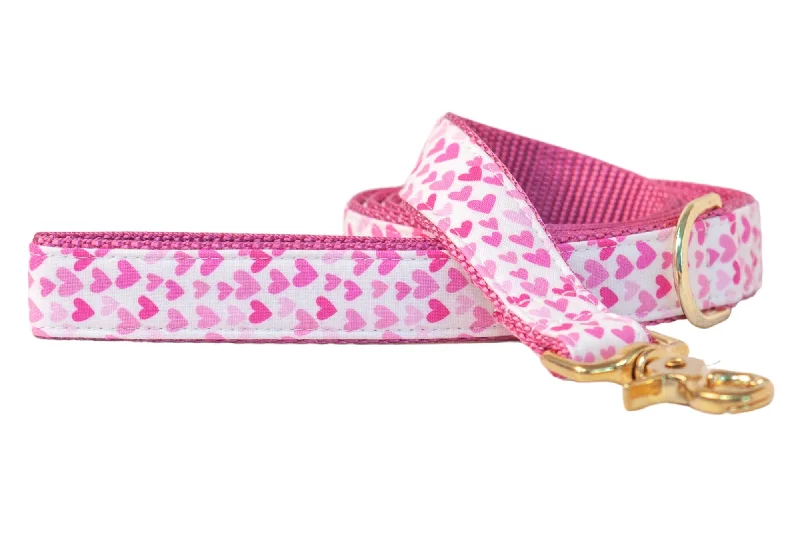 dog agility training set-Pink Hearts Dog Leash