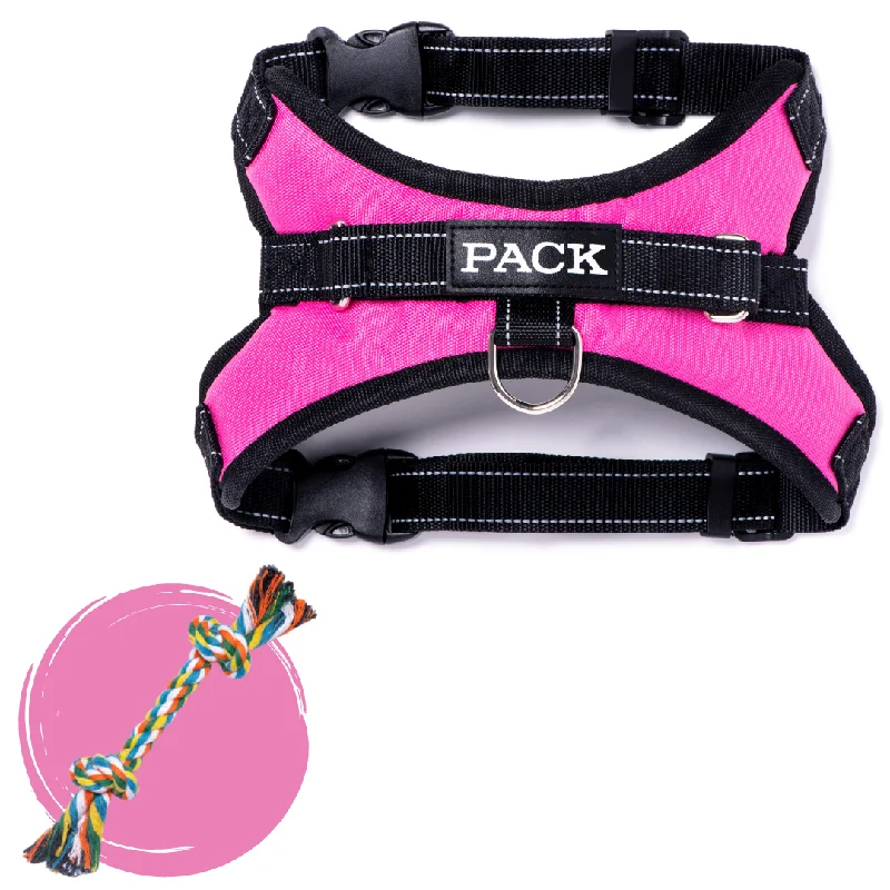 pet first aid kit-Pretty In Pink + Rope Toy - Free Product