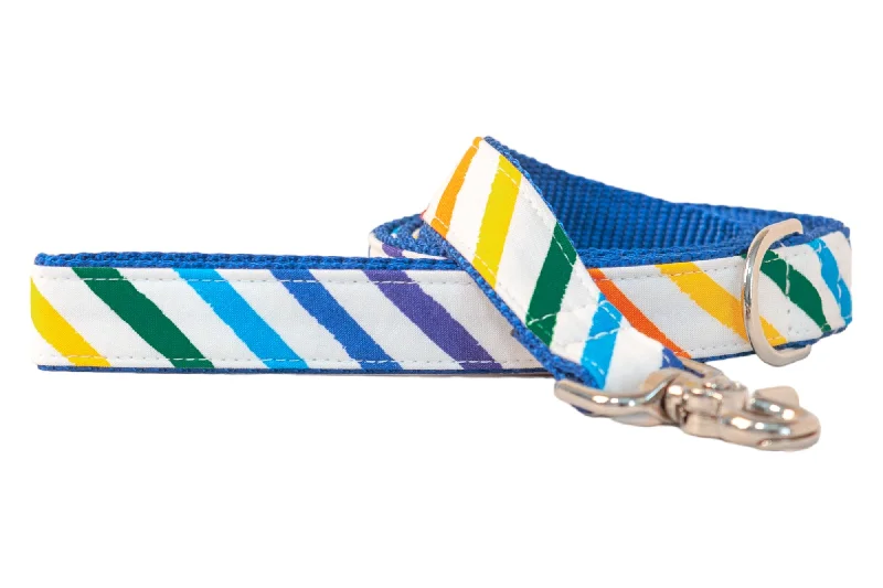 orthopedic cat bed-Proud Rainbow Dog Leash