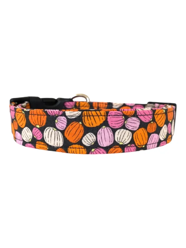 small animal playpen-Pumpkin Spice Dog Collar