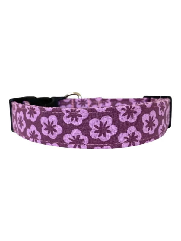 dog training clicker-Purple Haze Dog Collar