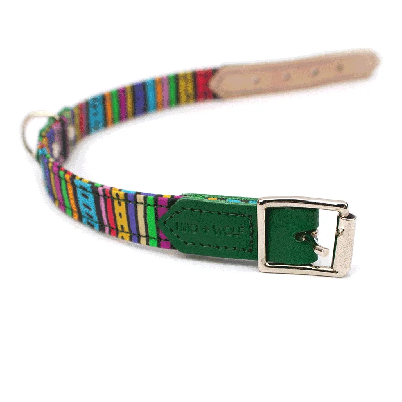 dog ear cleaning solution-Rainbow Stripe Dog Collar