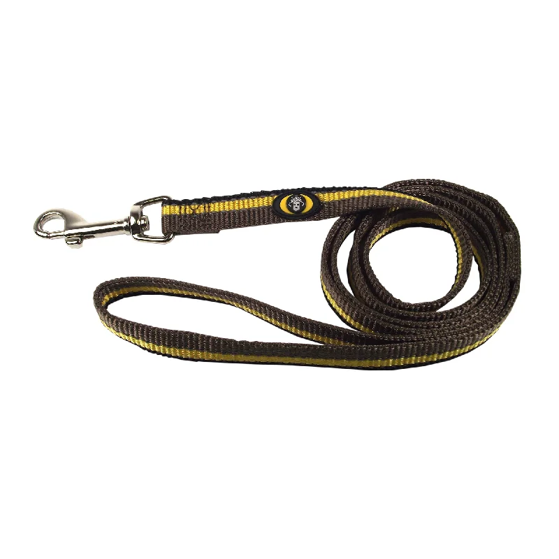 pet grooming tools-Reflective Leashes