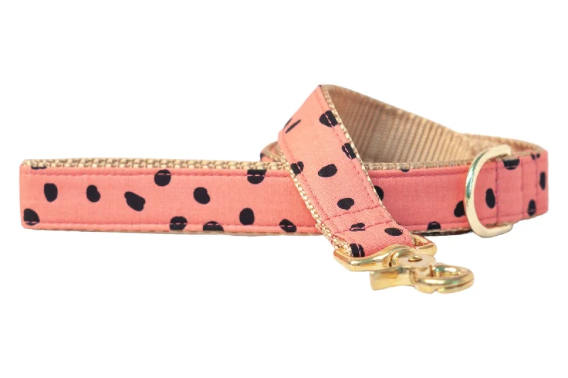 luxury pet stroller-Rosy Pebbles Dog Leash