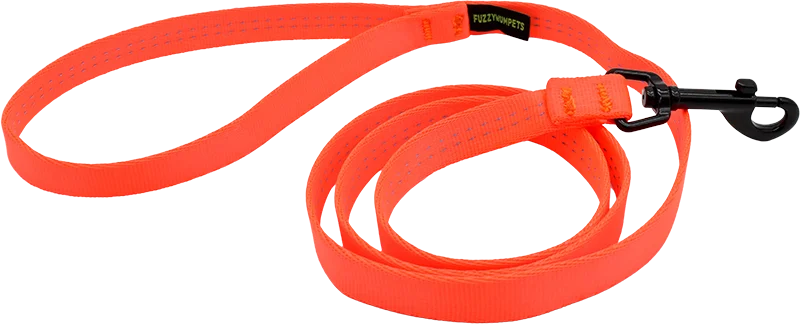 rabbit hay feeder-Smooth Operator Snap Leash