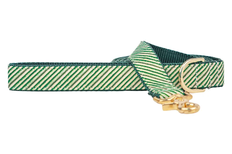 heavy-duty dog leash-Spearmint Stripe Dog Leash