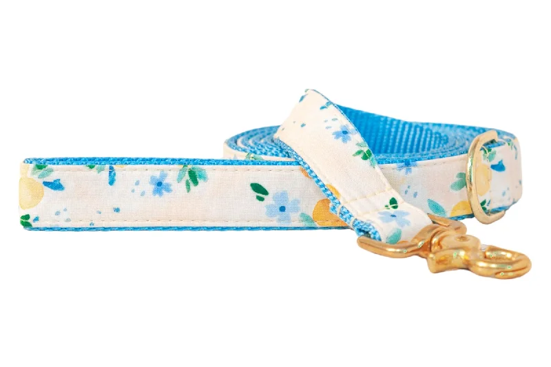 multi-functional pet carrier-Sunday Brunch on Ice Blue Dog Leash