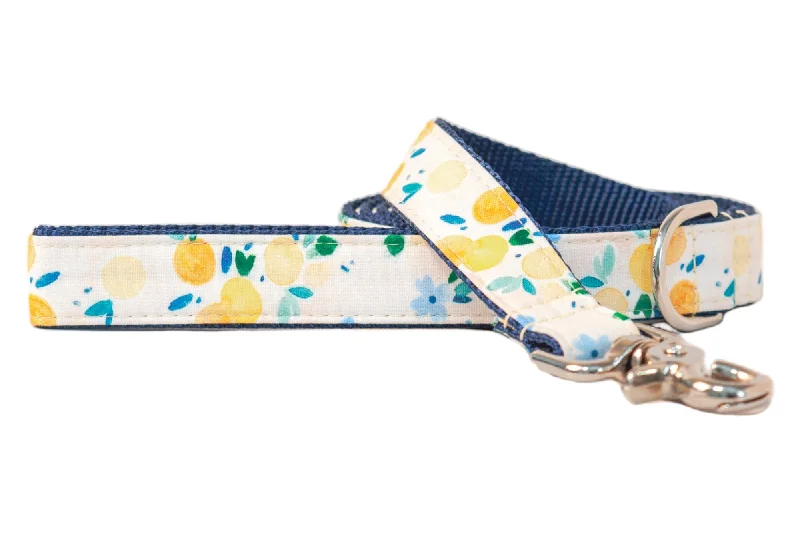 parrot training perch-Sunday Brunch on Navy Blue Dog Leash