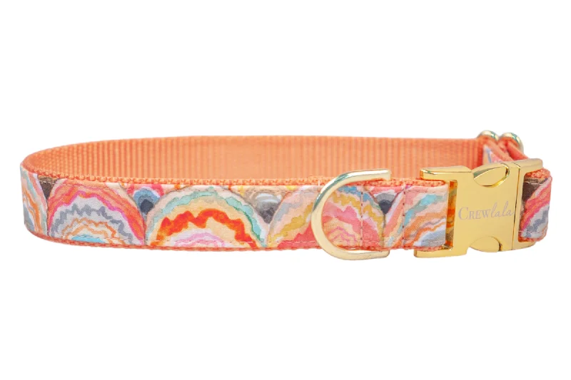 biodegradable poop bags-Sunrise Shells Dog Collar