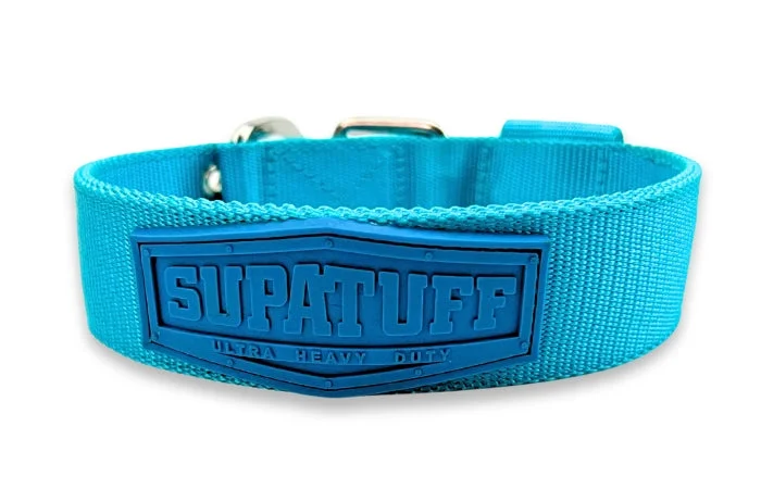 smart dog door-SUPATUFF® Strong Dog Collar Turquoise (Regular Fit)