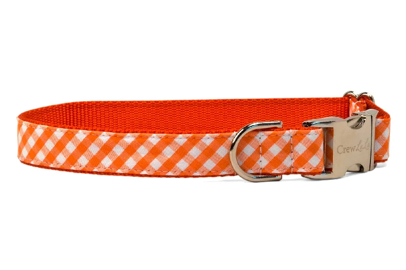 interactive bird toy-Tennessee Orange Check on Orange Dog Collar