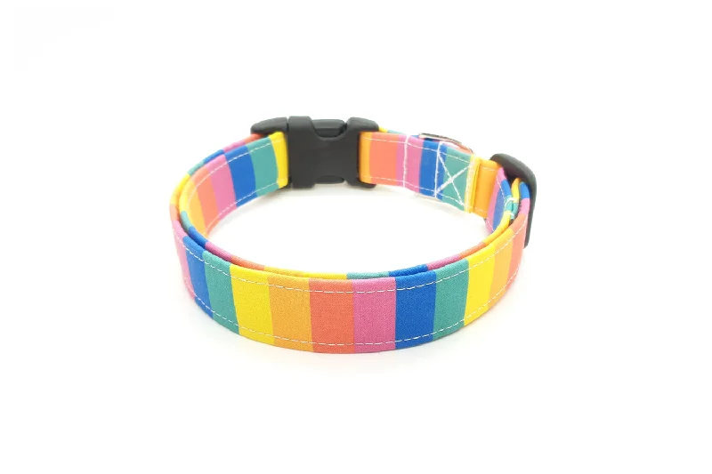 interactive bird toy-Thin Rainbow Stripes Dog Collar