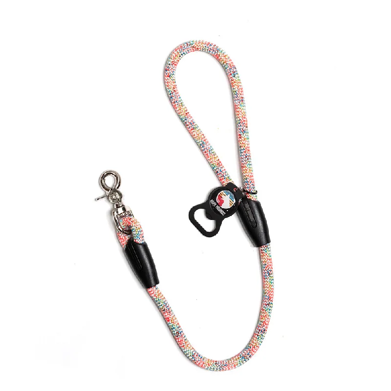 chew-proof puppy leash-2' Dog Traffic Lead - Multicolor