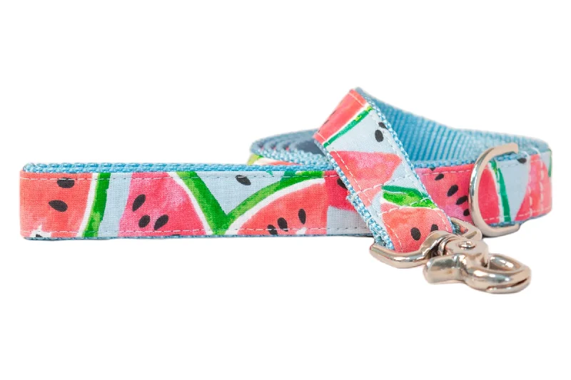 chew-proof dog toy-Watercolor Watermelon Dog Leash