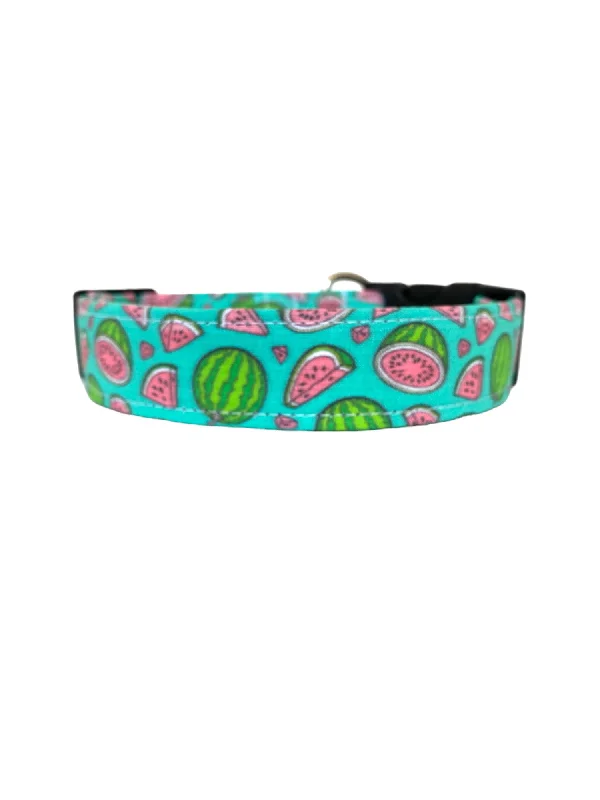 small animal playpen-Watermelon in Green Dog Collar