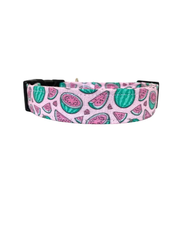 chew-proof dog toy-Watermelon in Pink Dog Collar