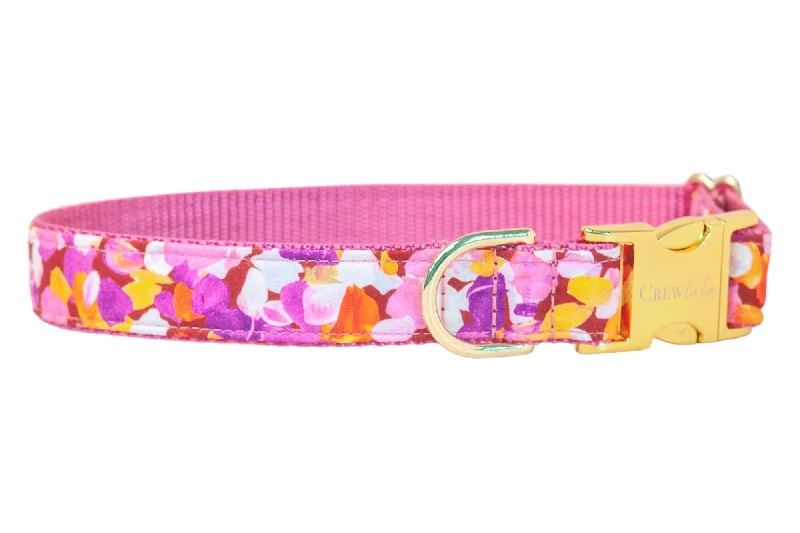 all-weather dog jacket-Zinnia Petals Dog Collar