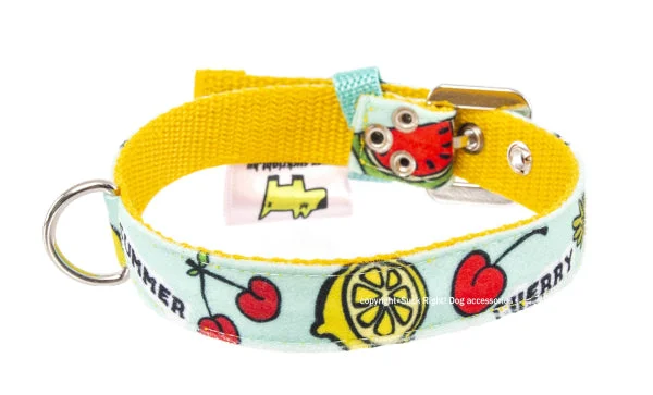 rabbit hay feeder-Fruits Dog Collar