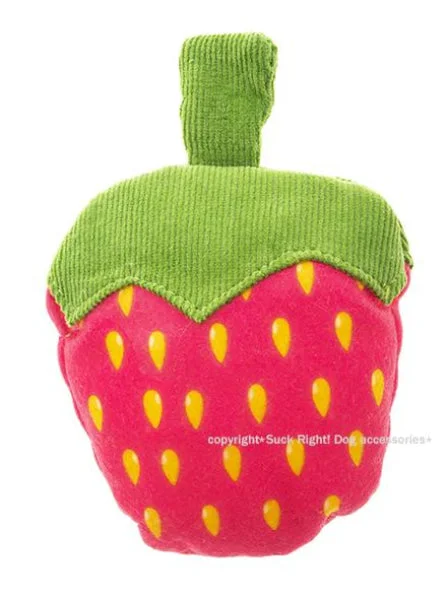 memory foam dog bed-Neon Strawberry Dog Toy