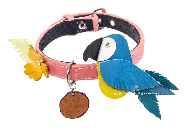 vet-approved dog chew-Parrot Dog Collar