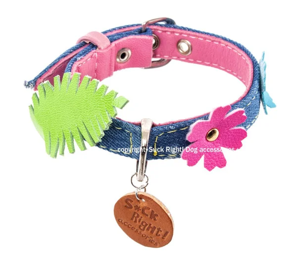 hamster bedding material-Toucan Dog Collar